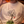 Cargar imagen en el visor de la galería, CAMISETA SINNERS IPA